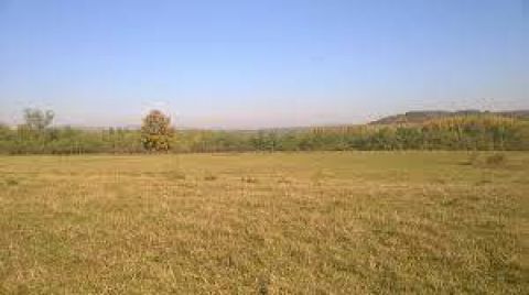 Eladó Telek 9400 Sopron Külterületi szántó, kiskert 1398m2 a (kamionterminál közelében)