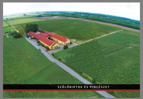 Eladó Mezőgazdasági 6500 Baja , Eladó Szőlő birtok és Borászat az 51-es út mentén
