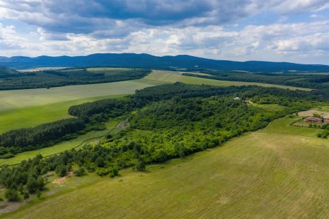 Eladó Telek 3555 Harsány 