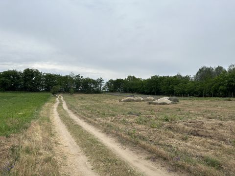 Eladó Telek 2370 Dabas , Dabas Szőlő