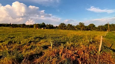 Eladó Telek 8220 Balatonalmádi Zártkert