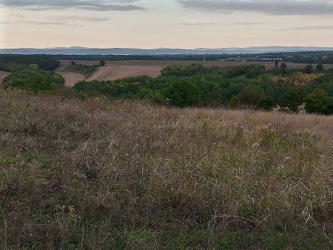 Eladó Telek 8654 Ságvár , BALATON ÉS TÁJPANORÁMÁS TELEK