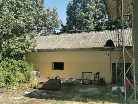 Eladó Mezőgazdasági 2884 Bakonyszombathely 