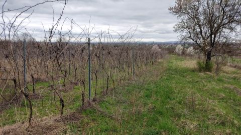 Eladó Telek 2531 Tokod 