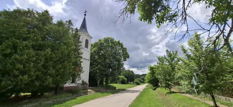 Eladó Ház 7814 Babarcszőlős Lótartásra is alkalmas felújított házikó-CSEND-NYUGALOM-FRISS LEVEGŐ! 