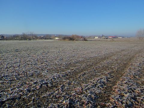 Eladó Mezőgazdasági 2767 Tápiógyörgye , Eladó Szántó és legelő Tápiógyörgyén