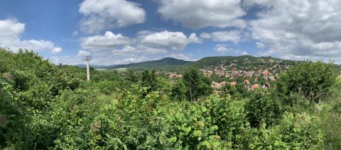 Eladó Telek 2013 Pomáz , Pomáz-  Majdán fejlődő részén, ÖRÖKPANORÁMÁS , 720 nm-es LAKÓÖVEZETI , építési telek