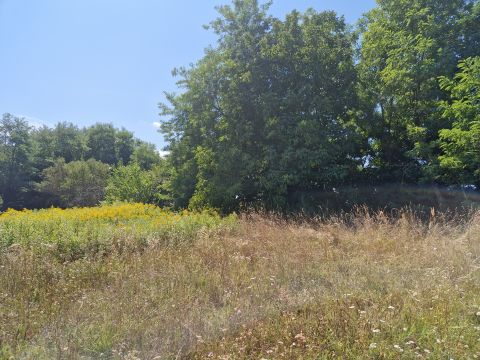 Eladó Telek 8649 Balatonberény 