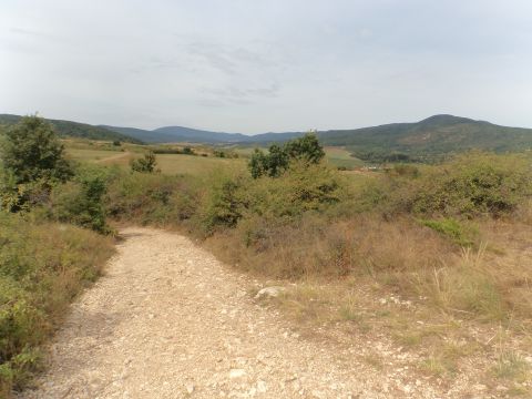 Eladó Mezőgazdasági 2013 Pomáz 