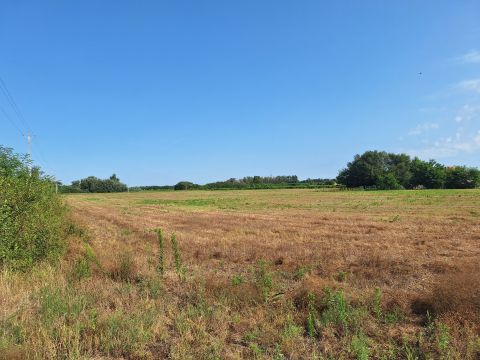 Eladó Mezőgazdasági 6000 Kecskemét , Úrihegy