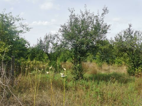 Eladó Telek 2890 Tata 