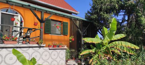Eladó Ház 5144 Jászboldogháza , parkosított, boros pincés, wellnessel
