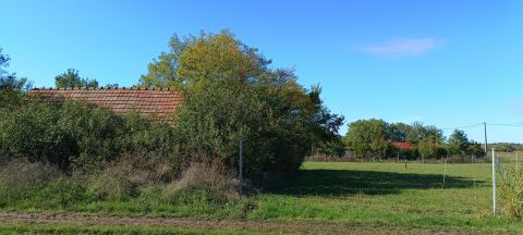 Eladó Telek 8132 Lepsény szőlőhegyi felújítandó pinceház 1840 m2 telekkel akár nyaralásra is