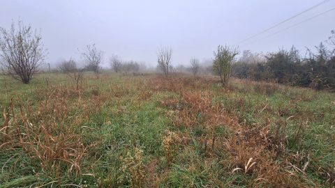 Eladó Telek 8151 Szabadbattyán , Buszmegálló közelében