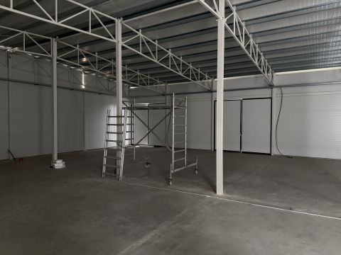 Kiadó Tároló/Raktár 4400 Nyíregyháza Nyíregyháza 