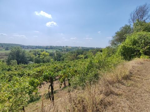 Eladó Telek 8137 Mezőkomárom , Mezőkomáromban tájpanorámás telek eladó