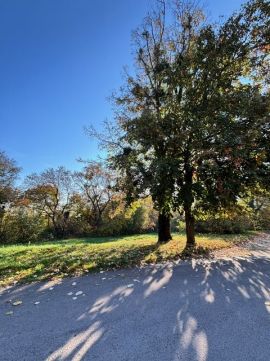 Eladó Telek 7629 Pécs , Eladó egymás melletti telkek Pécs Kishegyi-dűlőben!