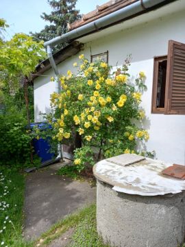Eladó Ház 2481 Velence 