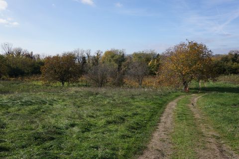Eladó Telek 8257 Badacsonytomaj 