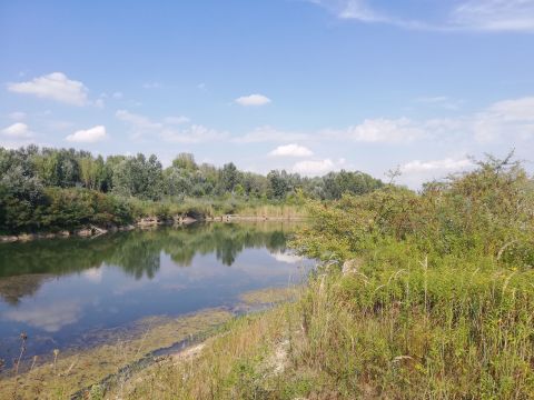 Eladó Telek 2545 Dunaalmás , Közvetlen Duna-parti, logisztikai környezet, saját tóval!!! 
