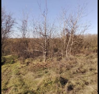 Eladó Telek 7275 Igal , 3334 m2-es zártkerti telek