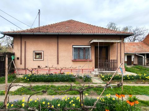 Eladó Ház 5600 Békéscsaba Szepesi utcában