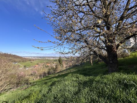 Eladó Telek 8900 Zalaegerszeg Elvehetetlen panorámával rendelkező terület