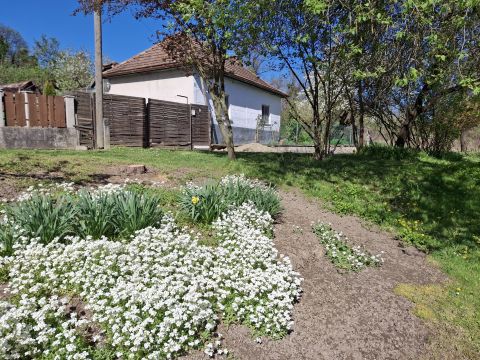 Eladó Ház 8055 Balinka , Csendes utcában