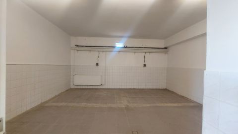 Kiadó Mezőgazdasági 4400 Nyíregyháza Salamonbokor