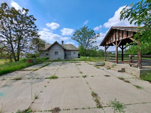 Eladó Mezőgazdasági 6500 Baja Ipartelepi Út 
