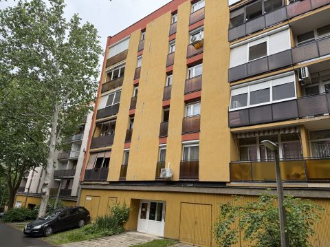 Kiadó Lakás 7624 Pécs 