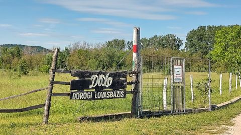 Eladó Telek 2510 Dorog , 2510 Dorog Bécsi út 39.