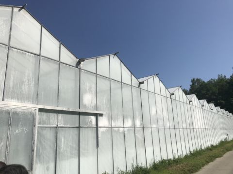 Eladó Mezőgazdasági 6100 Kiskunfélegyháza 