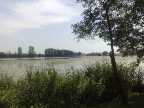 Eladó Telek 7585 Háromfa , Háromfa