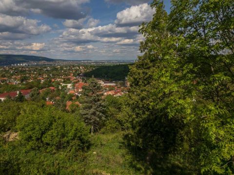 Eladó Telek 2045 Törökbálint , Törökbálint - Természetvédelmi területtel határos Gyöngyszem