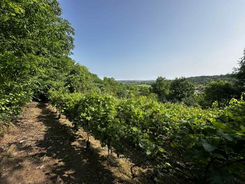 Eladó Ház 7090 Tamási , 3234 m2-es zártkert, 65 m2-es épülettel, napelemmel.