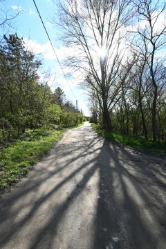 Eladó Telek 8000 Székesfehérvár 