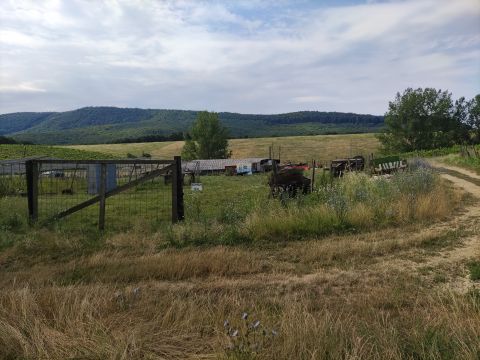 Eladó Mezőgazdasági 2640 Szendehely 