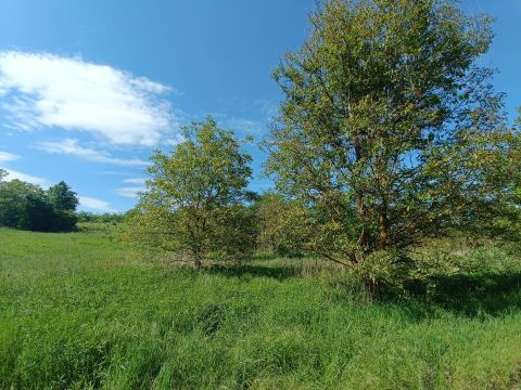 Eladó Telek 8649 Balatonberény 