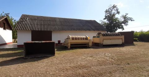 Eladó Mezőgazdasági 6640 Csongrád 