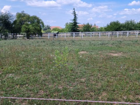 Eladó Telek 8372 Cserszegtomaj 