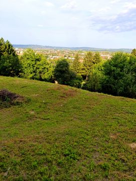 Eladó Telek 8900 Zalaegerszeg 