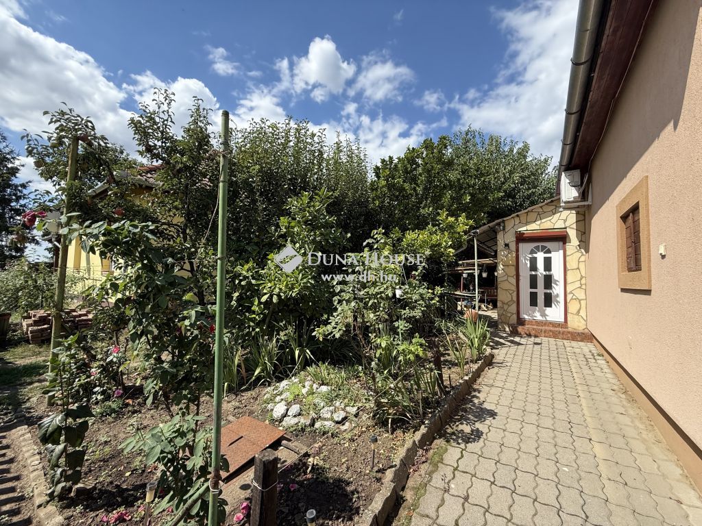 5241 Abádszalók , Abádszalók, Penny — 1/9