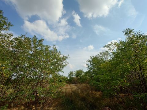 Eladó Telek 6000 Kecskemét , ELADÓ TANYAHELY PANORÁMÁS KILÁTÁSSAL