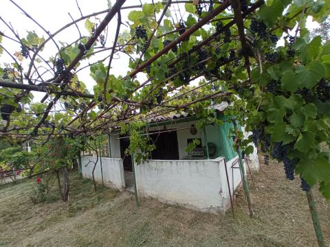Eladó Telek 2051 Biatorbágy 