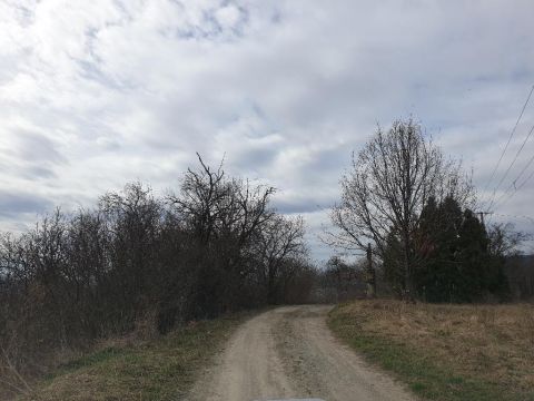 Eladó Telek 8353 Zalaszántó , 8353 Zalaszántó, külterület
