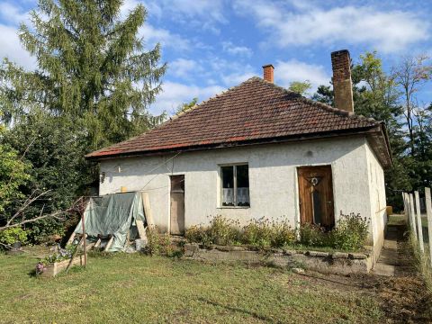 Eladó Ház 2456 Besnyő 