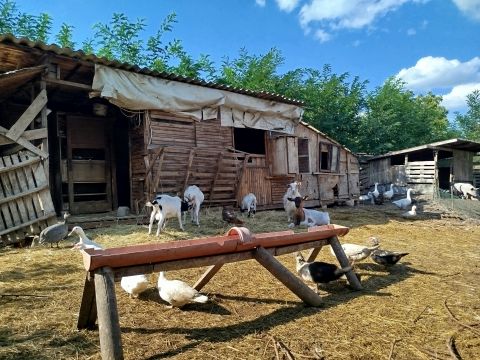 Eladó Ház 2471 Baracska , Zártkerti részen