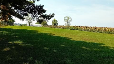 Eladó Telek 8171 Balatonvilágos  2504 nm-es telek, víz,villany a telken, építési engedéllyel