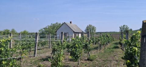 Eladó Telek 8164 Balatonfőkajár 